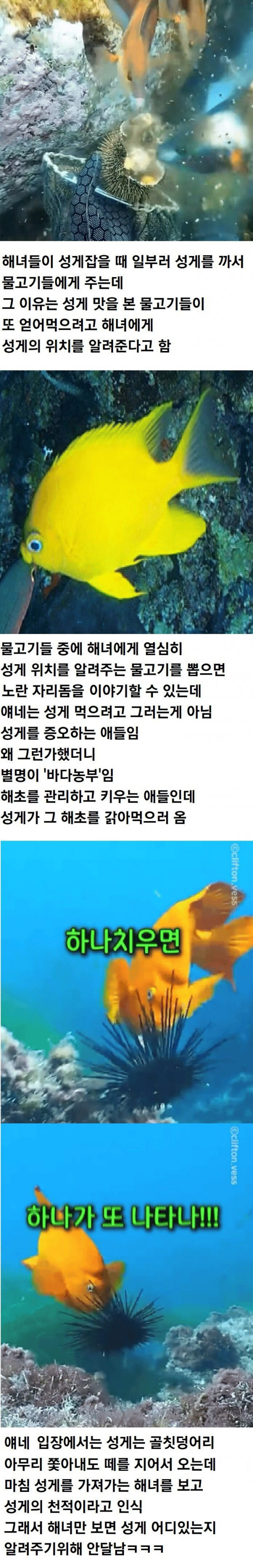 bt74a793ce9c7ca0163823e4c0b99b7267.jpg