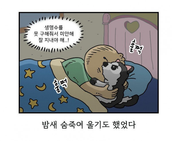 btd5949304583fee1f5f35e8ad2b7321c4.jpg